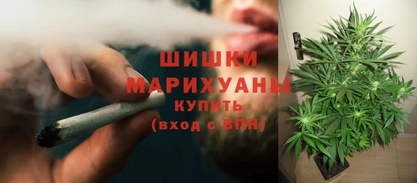 прущие крисы Каменка