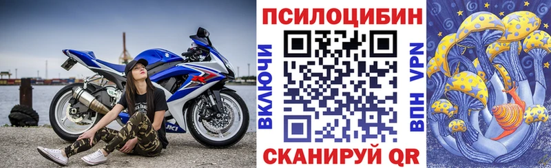 Галлюциногенные грибы мицелий Гусев