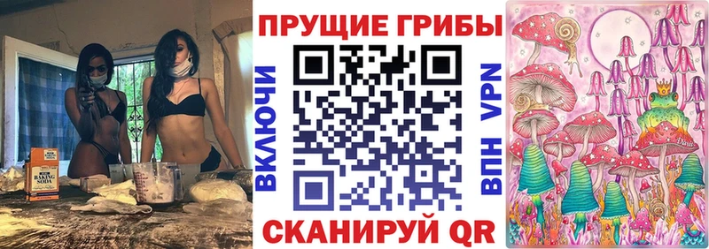 Купить где  Гусев  Псилоцибиновые грибы Psilocybe 